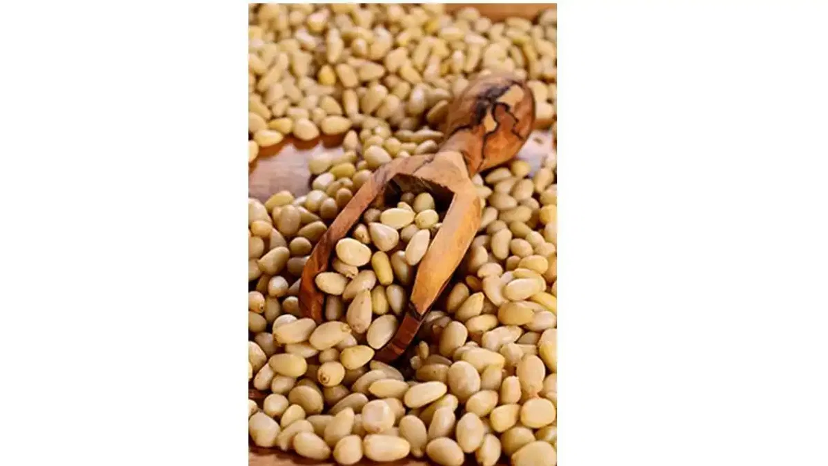 Dolmalık Fıstık