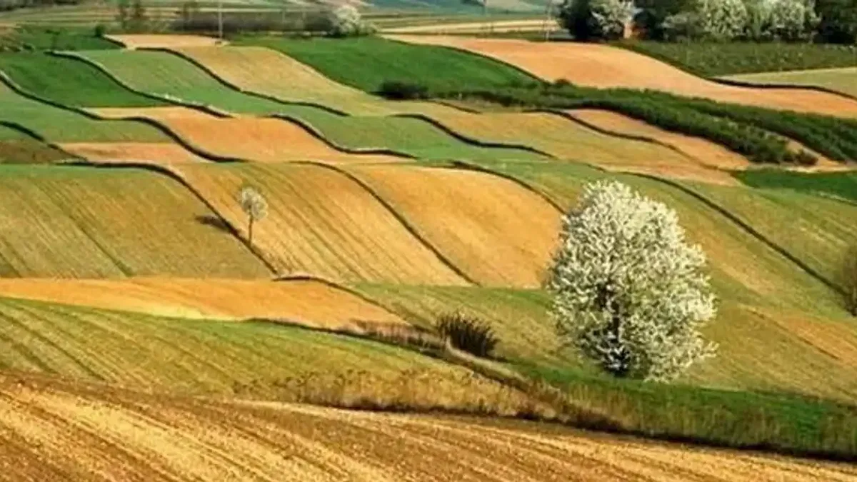 İki yıl ekilmeyen araziler devlet eliyle kiralanacak
