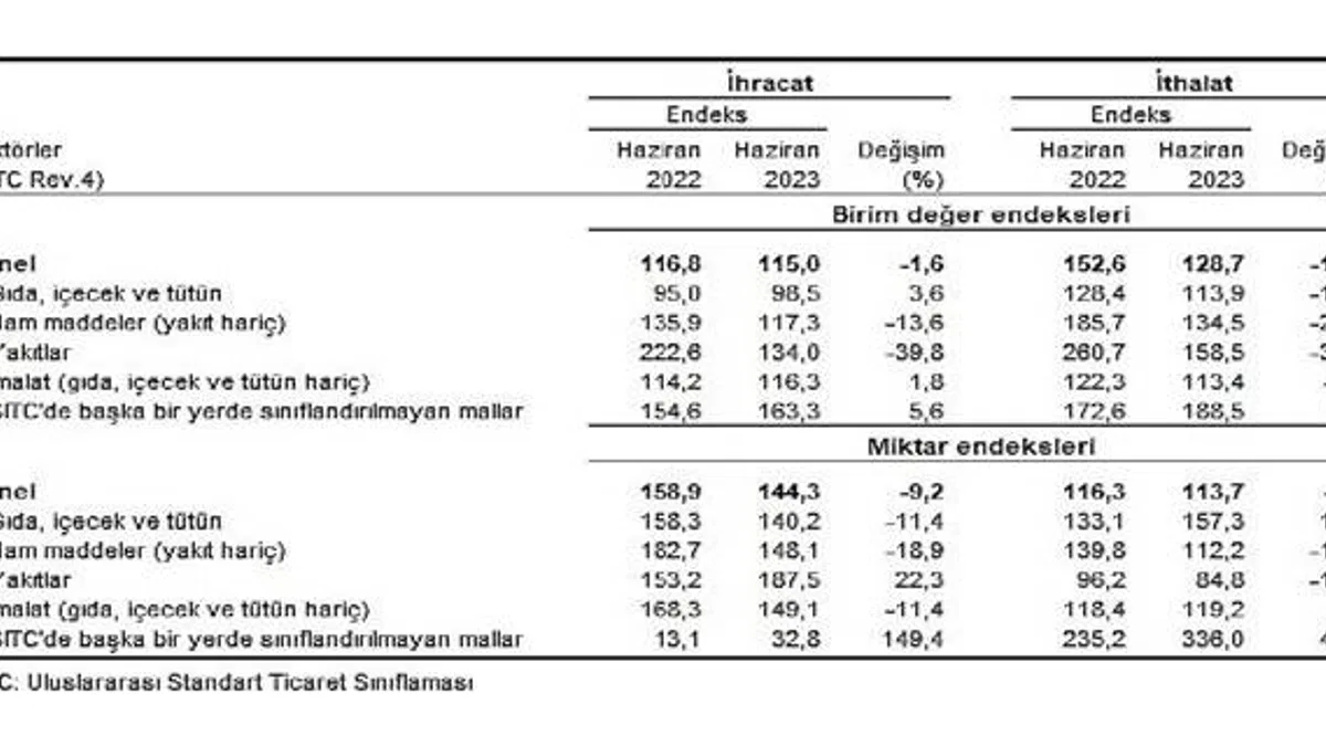 TÜİK: İhracat birim değer endeksi %1,6 azaldı