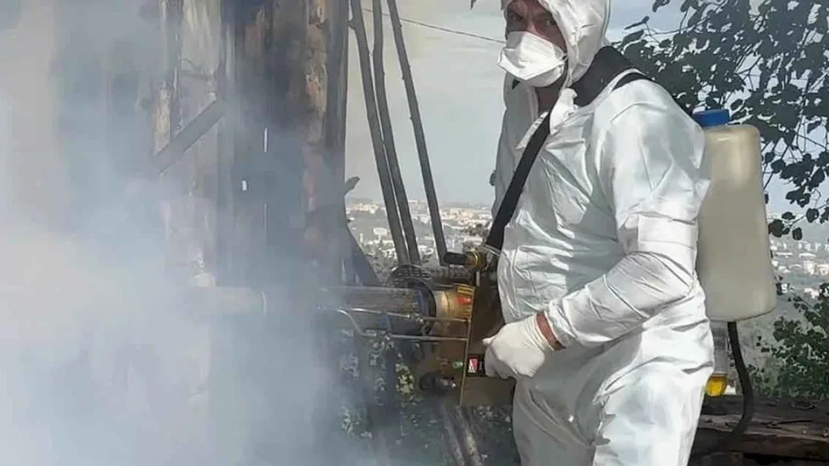 Kahverengi kokarca mücadelesinde 1 milyon haneye ilaçlama