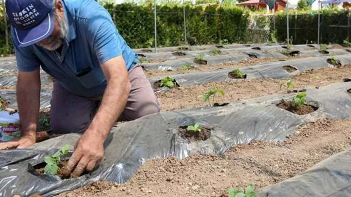 Konya’da başvurular 15 Ocak'ta başlıyor
