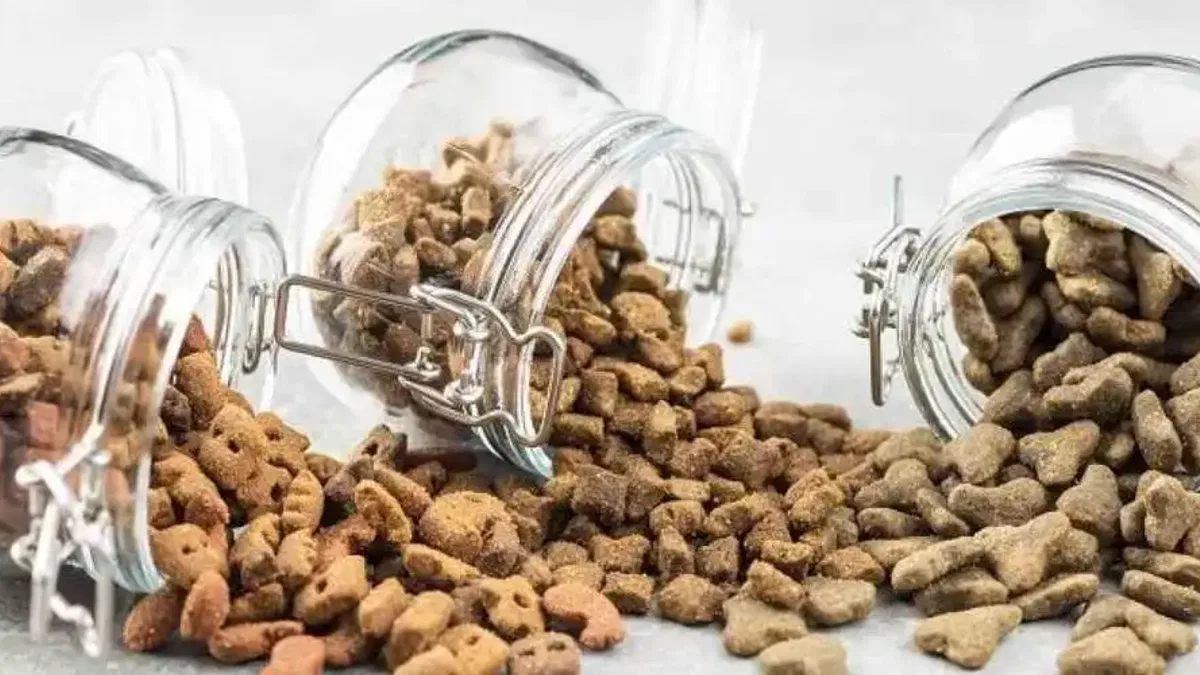 Kedi köpek maması ihracatı 27 katına çıktı