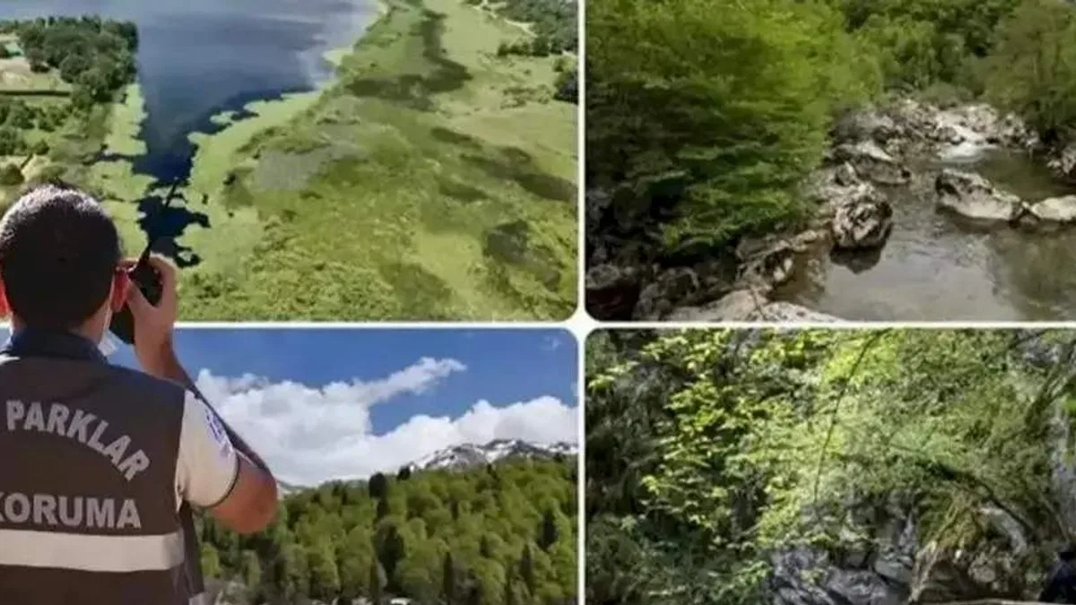 Doğa Koruma ve Milli Parklar Uzmanlığı için 'tez' zorunluluğu