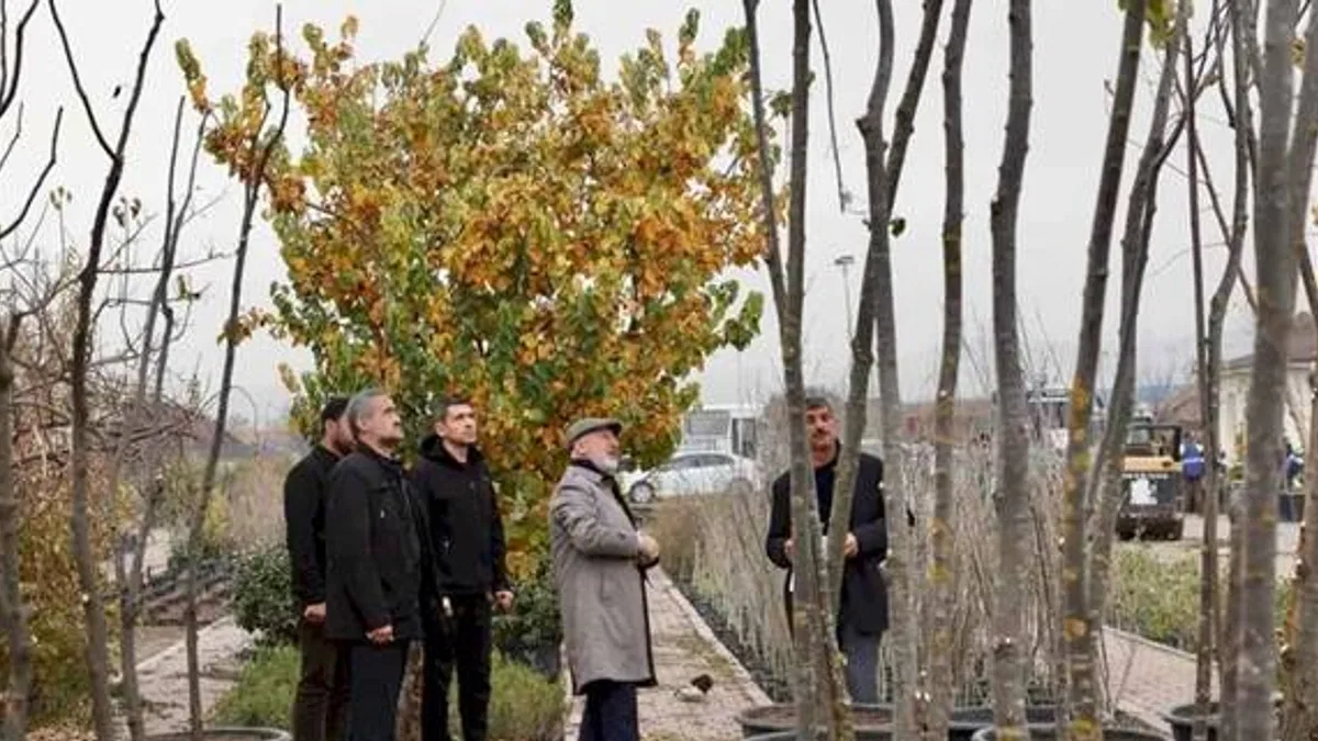 Kayseri Kocasinan şehri yeşile boyuyor