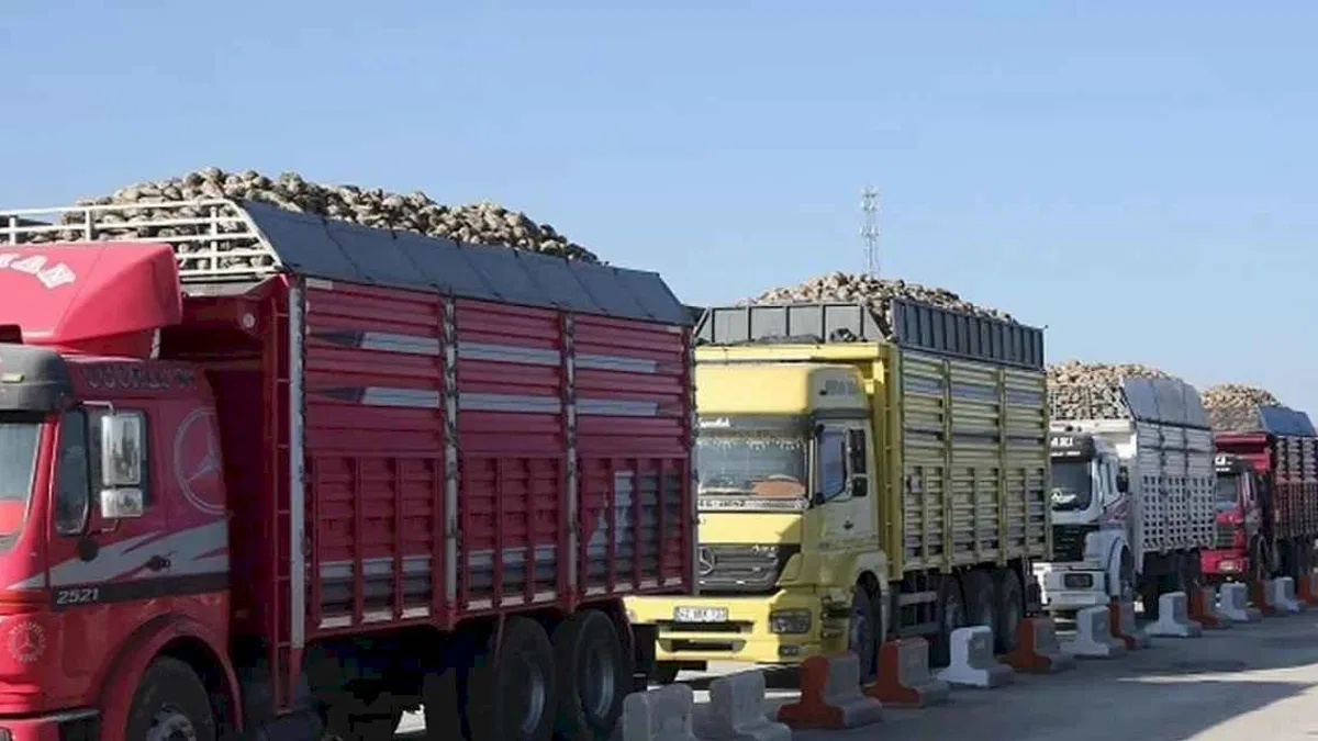 Konya Şeker'den üreticiye çifte avans