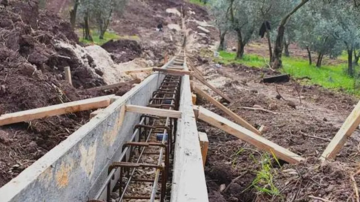 Patili canlar yeni yuvalarına kavuşuyor