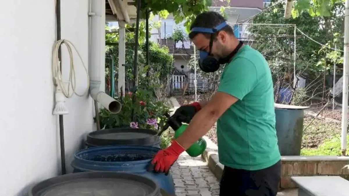 Kocaeli'de sivrisineklerle mücadele çalışmaları sürüyor