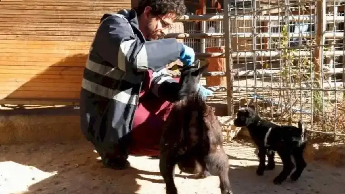 Doğal Yaşam Parkı’nda soğuk alarmı