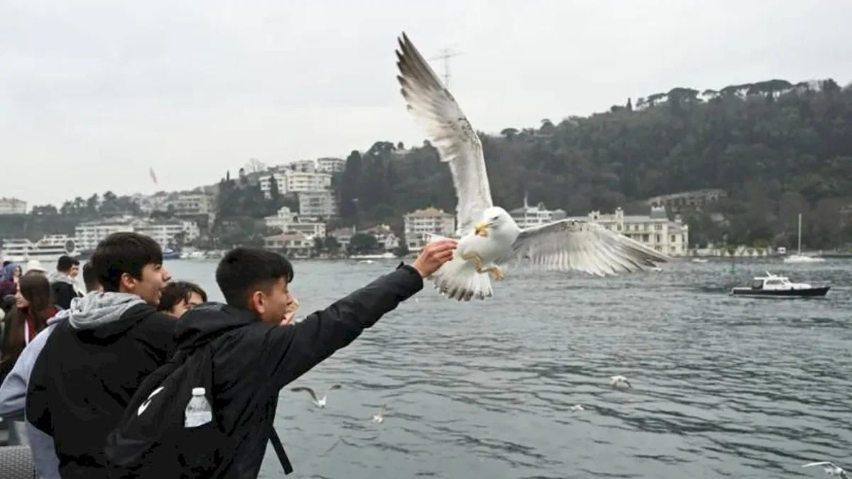 Konyalı genç seyyahlar bu yıl da İstanbul'la buluşacak