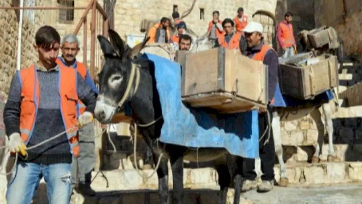 Mardin'in simgesi 'Çöp Eşeklerin' görevleri sona eriyor