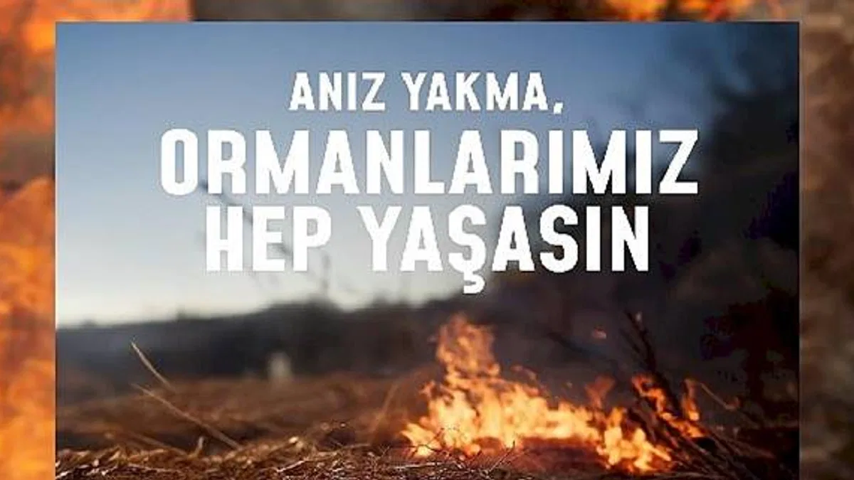 Bir kıvılcım geleceğimizi yakmasın, ormanlarımız hep yaşasın!