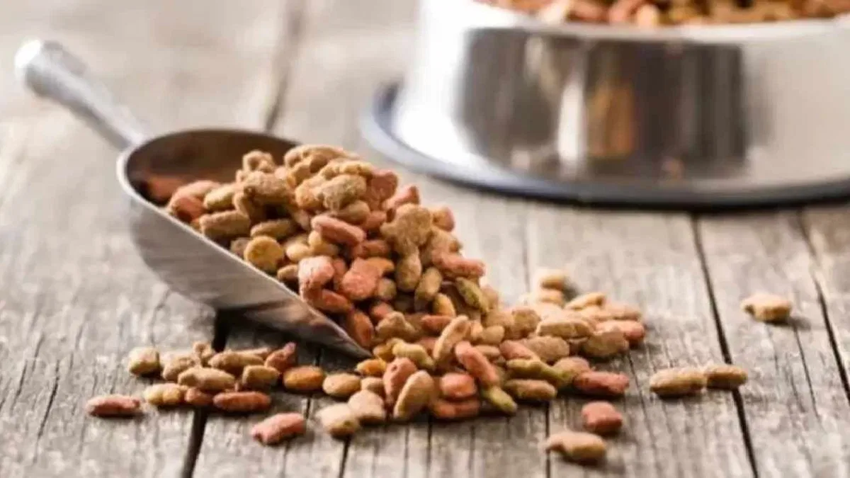 Yeni yapılan 31 bilimsel araştırmaya göre, vegan köpek maması ve vegan kedi mamasının iyi sindirildiğini ortaya koydu