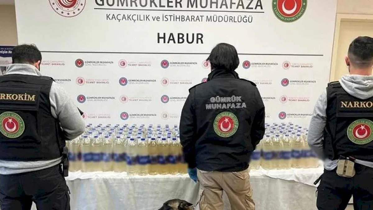 Habur Gümrük Kapısı'nda zehir operasyonu