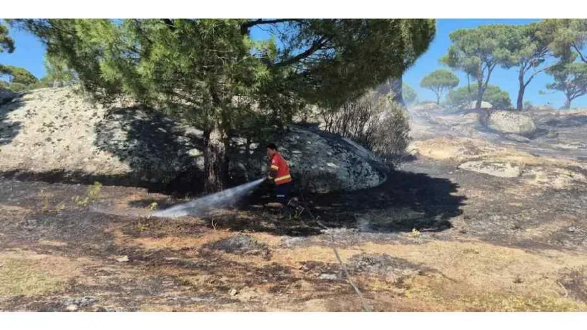 Muğla’da yangınların acı bilançosu!