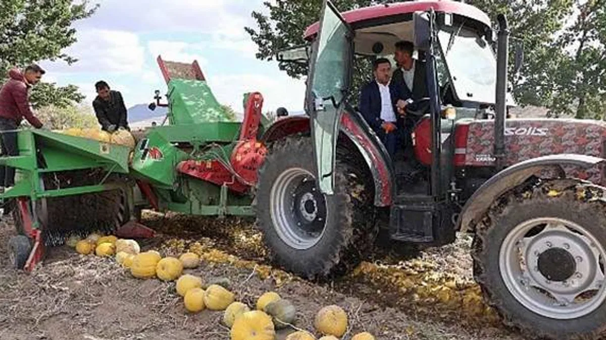 Nevşehir Belediyesi 1. Kabak Çekirdeği Festivali yapıldı.