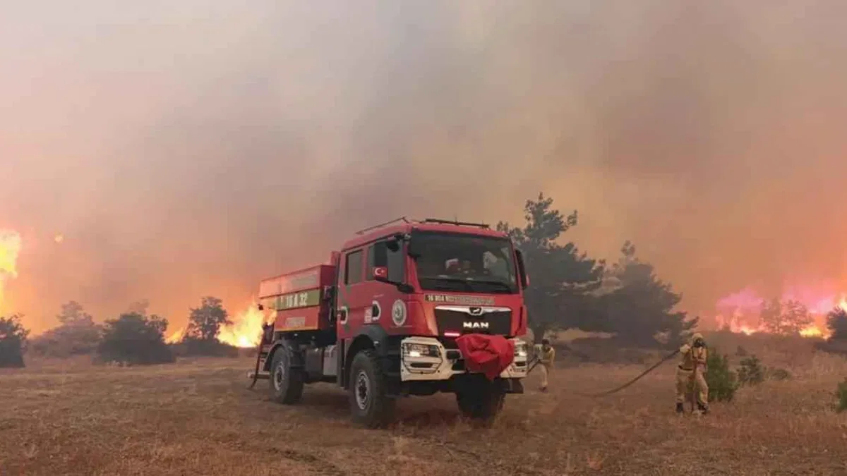 Bakan Yerlikaya'dan 5 günlük yangın raporu: 7 gözaltı, 3 tutuklama