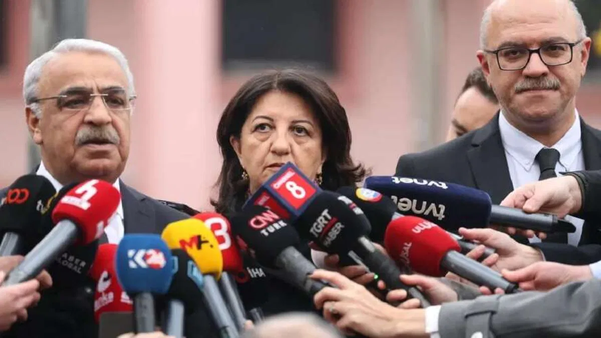 DEM Parti İmralı Heyeti: Demokratikleşme hayati ihtiyaç