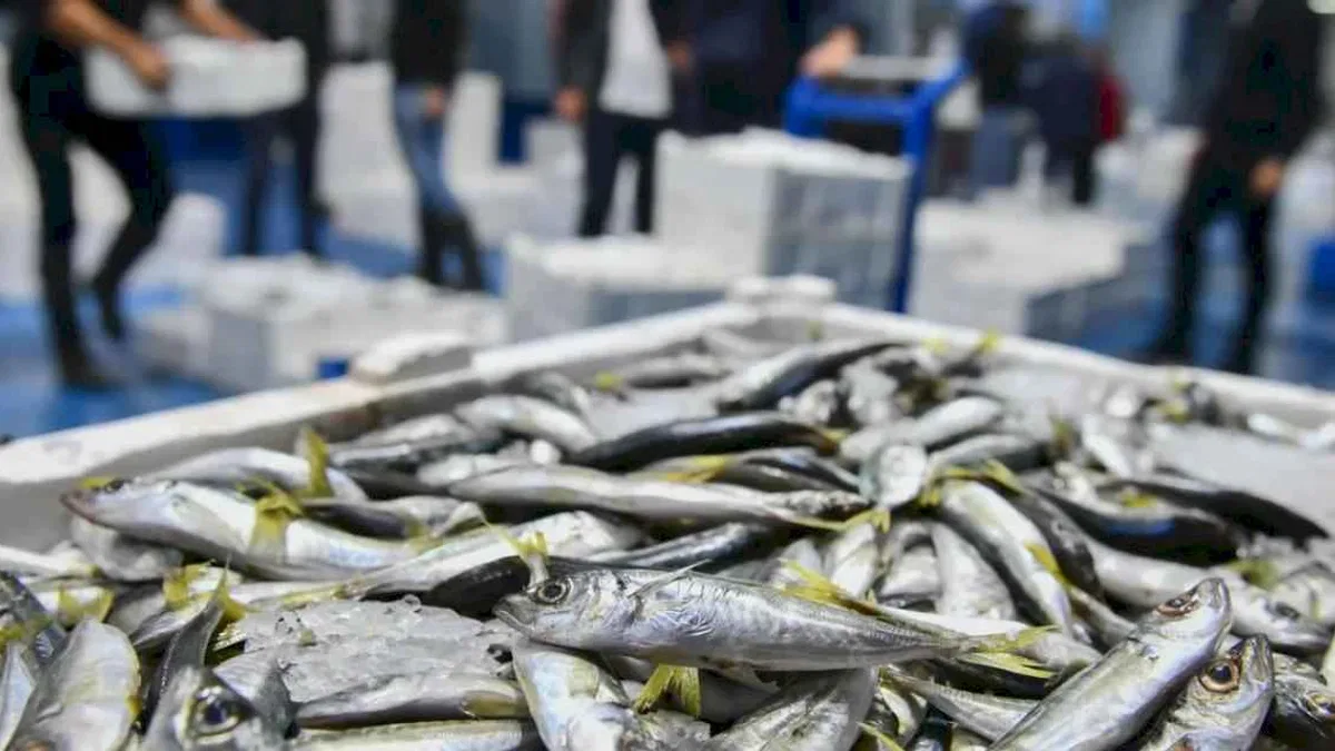 Ankara'da balık sezonu başladı, denetimler sıklaştı