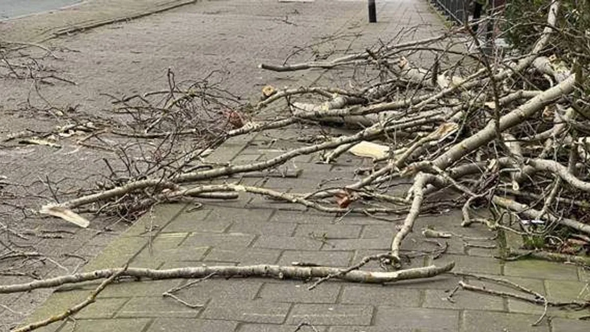 Avusturya’da şiddetli fırtınada devrilen ağaçlar 2 çocuğun ölümüne yol açtı