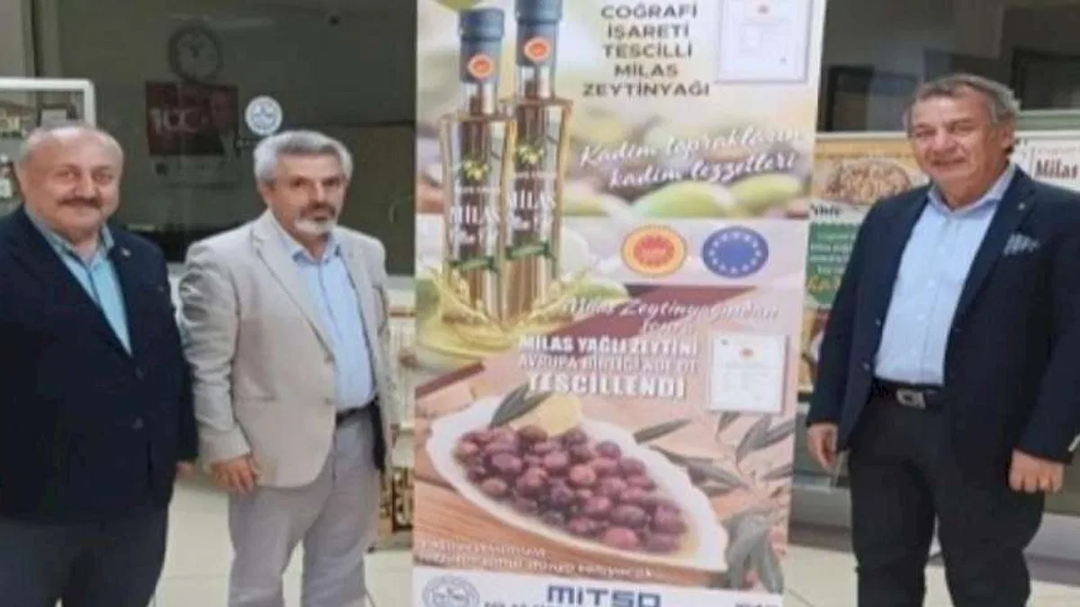 Coğrafi işaretli Milas zeytini 'Hasat Şenliği'nde taçlandı