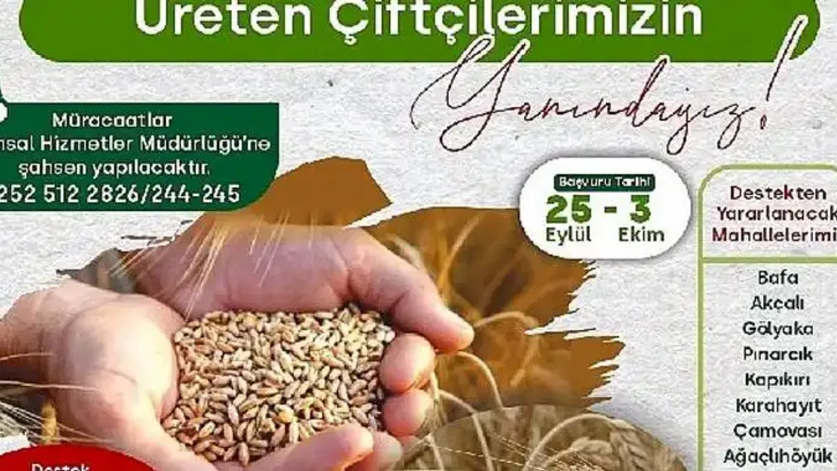 %50 Hibeli Buğday ve Tritikale Tohumu desteği başlıyor