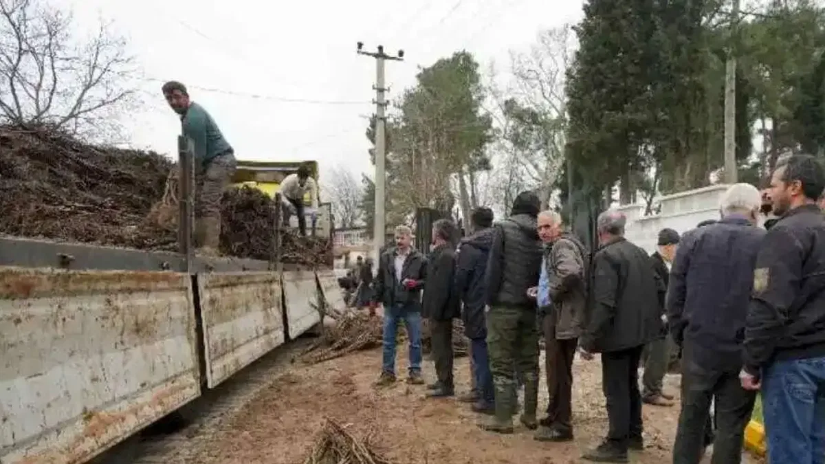 Üreticiler meyveciliğe yöneldi