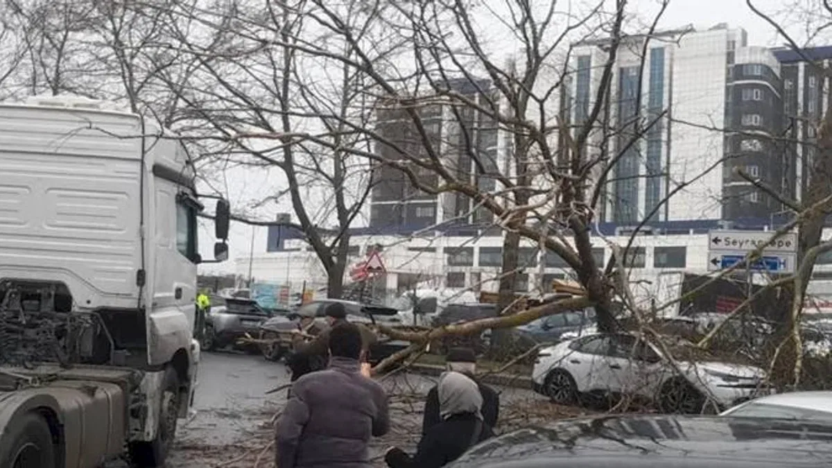 İstanbul'da fırtına: Ağaç devrildi, sahil yolları kapandı!