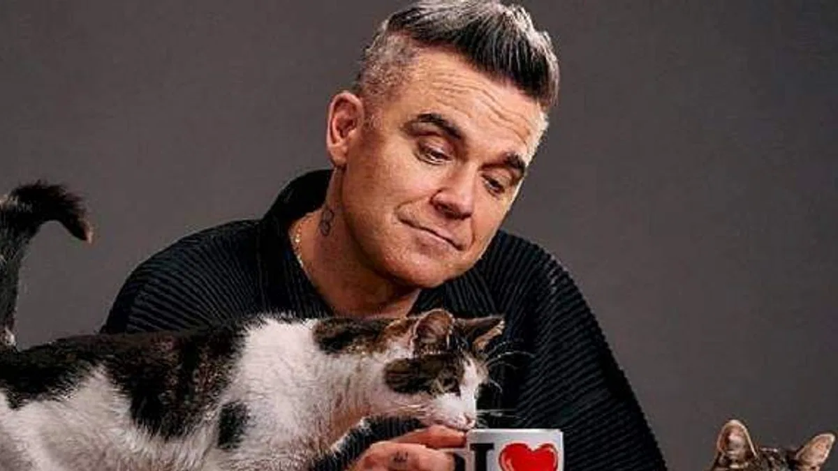 Purina'nın Yeni Kampanyasında Başrol Felix ve Robbie Williams'ın
