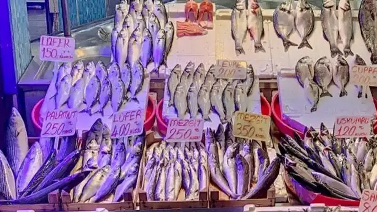 Balığa kota geliyor! Fiyatlar dengelenecek
