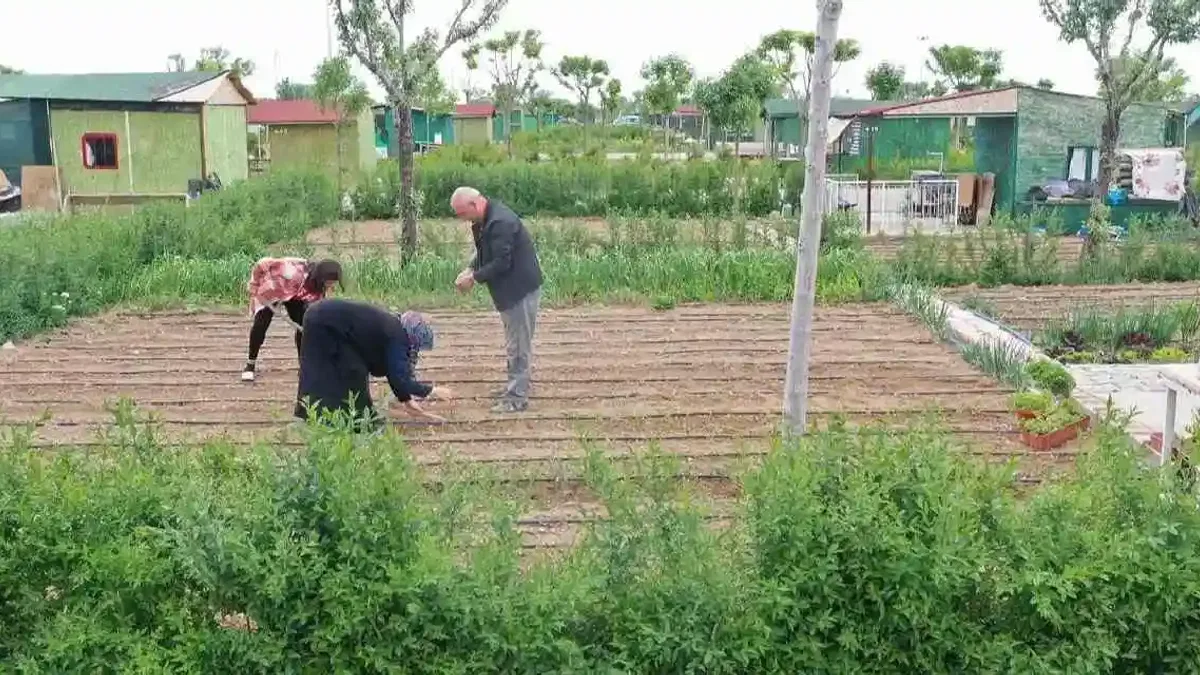 Hobi bahçesi dönemi sona erdi