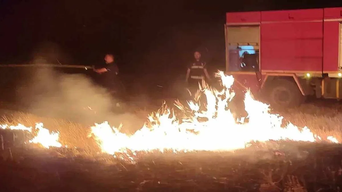 Van'da son 10 günde 239 yangına hızlı müdahale