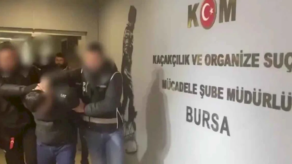 8 organize suç örgütüne 74 gözaltı!