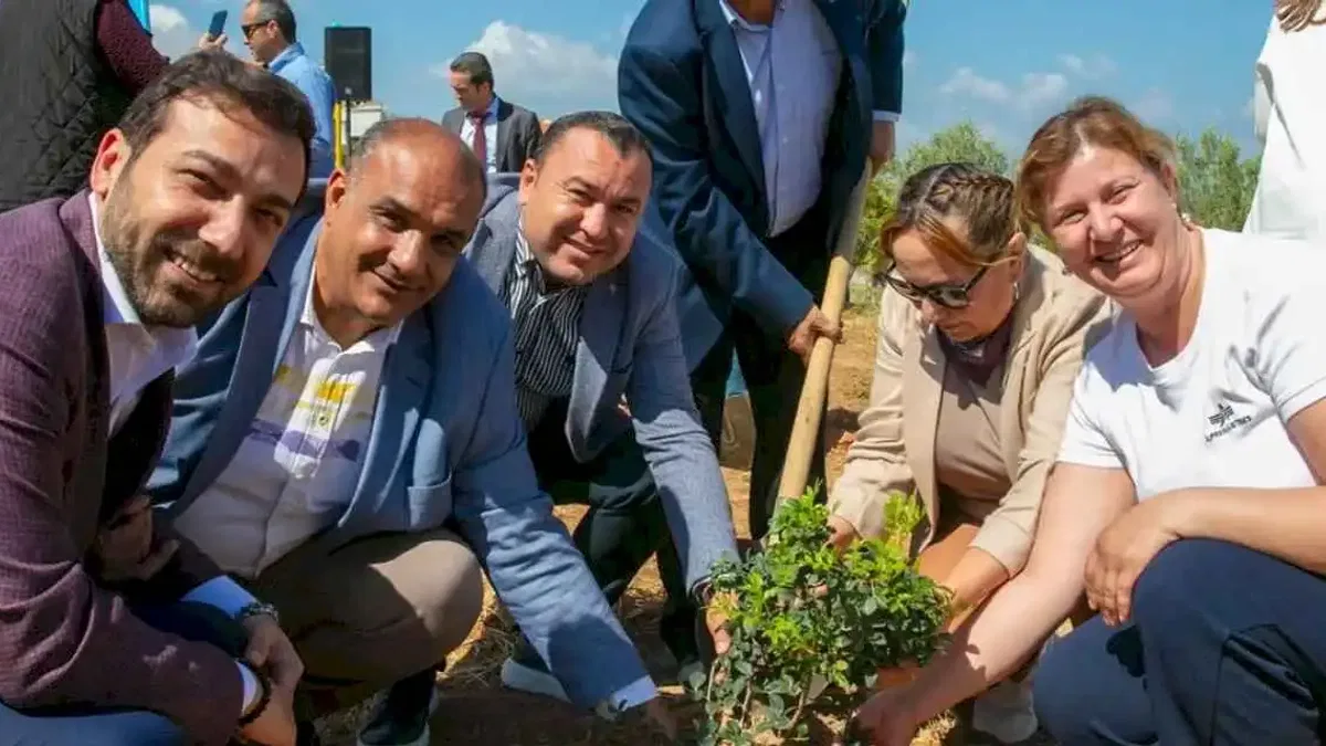 İzmir Güzelbahçe’de sakız ağaçları büyüyecek