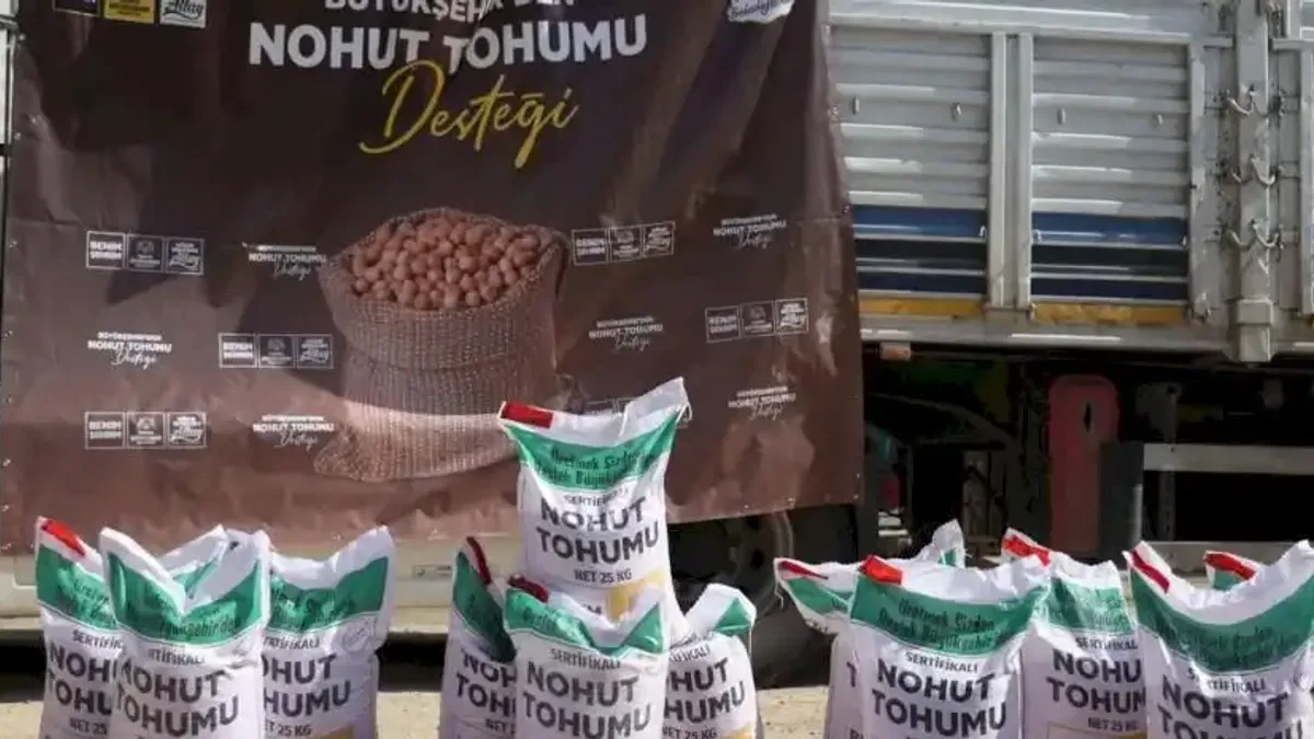 Konya az su isteyen ürünleri yaygınlaştırıyor... Yüzde 50 hibeli nohut tohumları dağıtılıyor