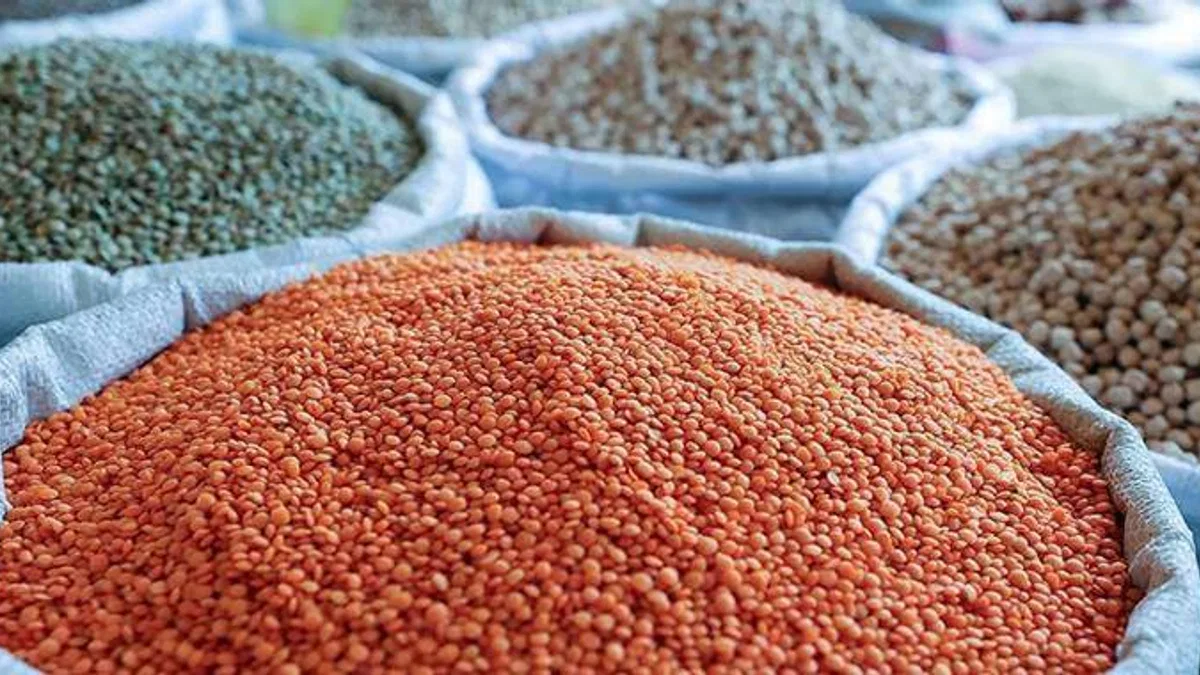 TMO kabuklu kırmızı mercimek alım fiyatını güncelledi