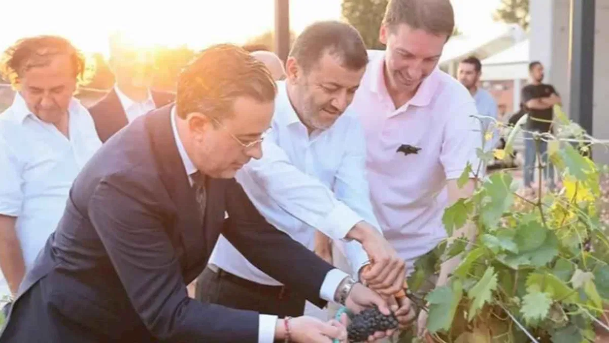 Çal Bağbozumu Festivali kültürle renklendi