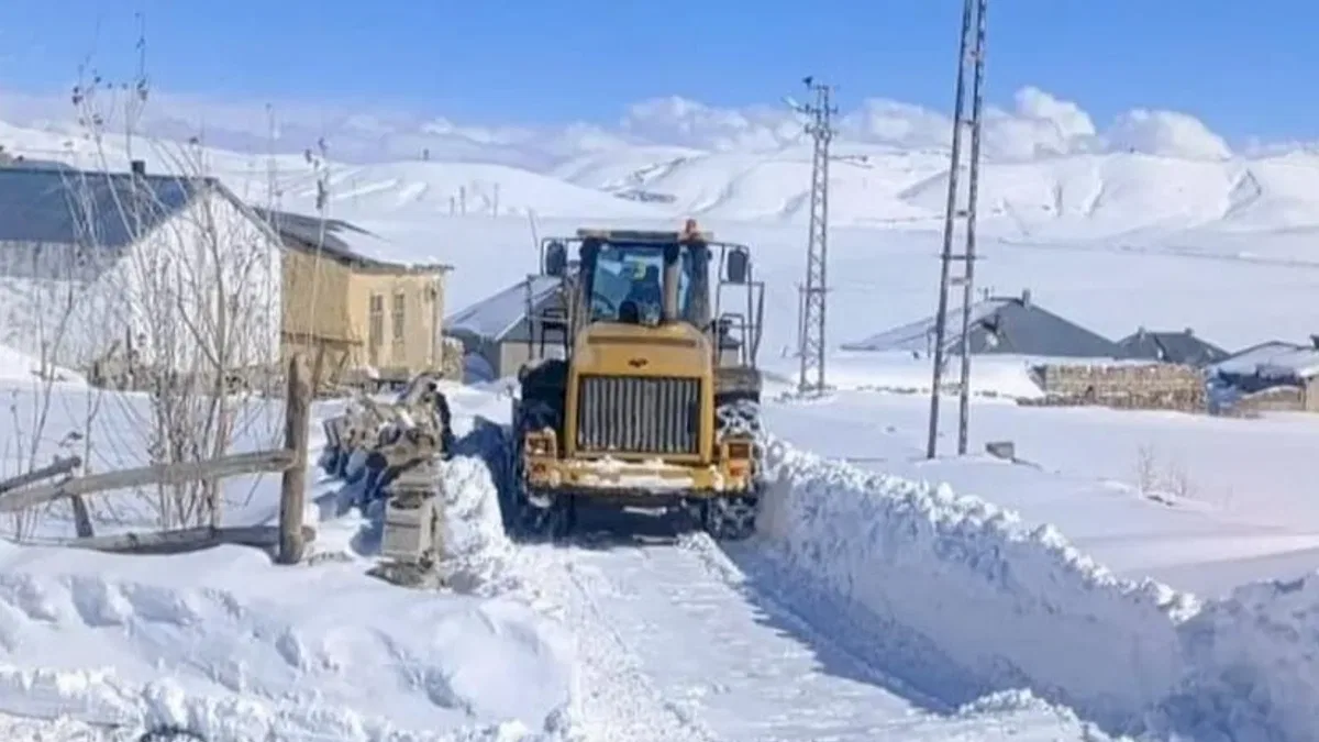 Kar Van'ı esir aldı