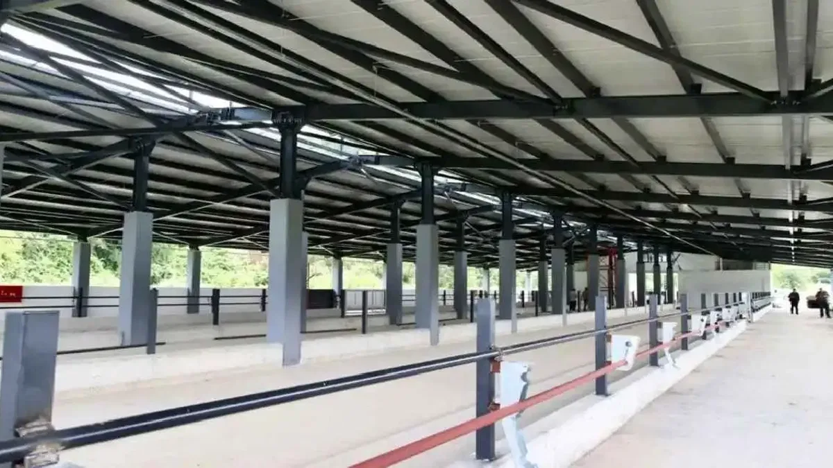 Ordu Fatsa’da Damızlık Düve Yetiştirme Merkezi tamamlandı