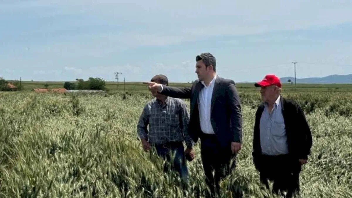 Çakır’dan hububat alım fiyatları eleştirisi