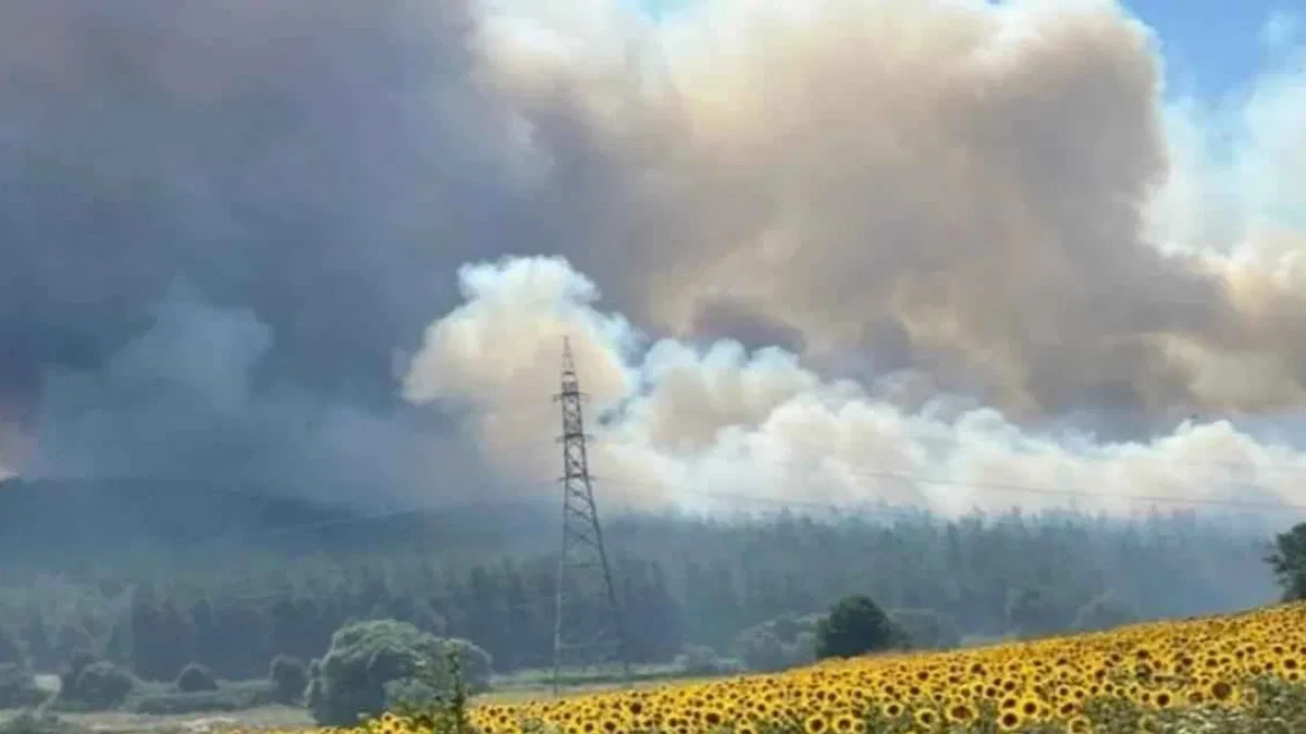 İki günde 113 noktada orman yangını çıktı