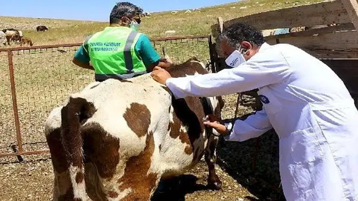 Antalya Büyükşehir'den hayvancılık için yeni proje