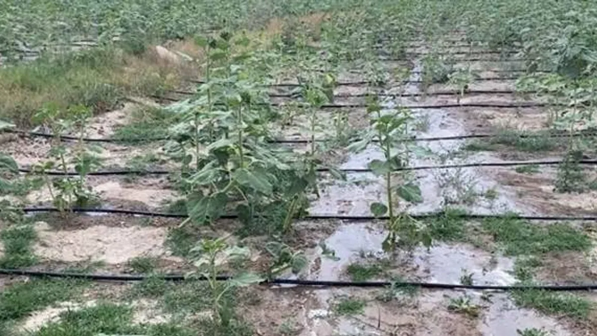 Melikgazi hem israfı engelliyor hem de verimliliği artırıyor