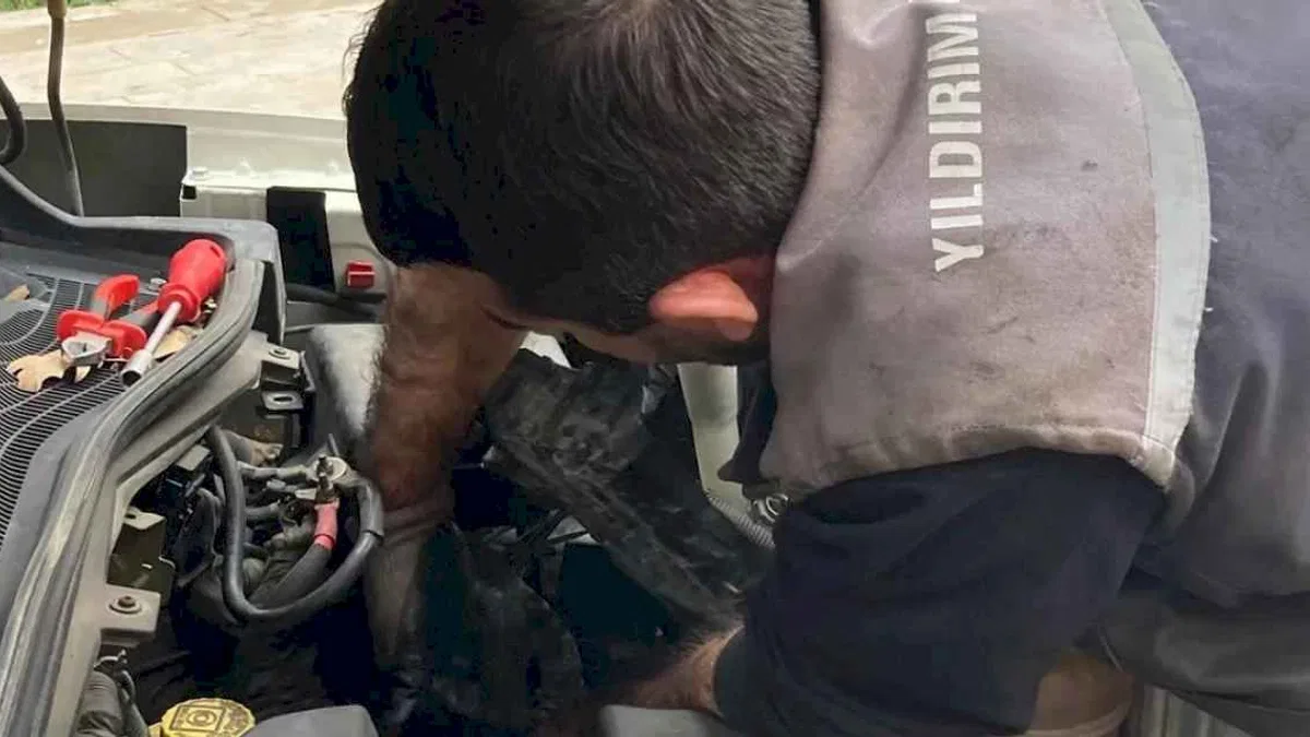 Bursa Yıldırım'da kaputa sıkışan yavru kedi kurtarıldı