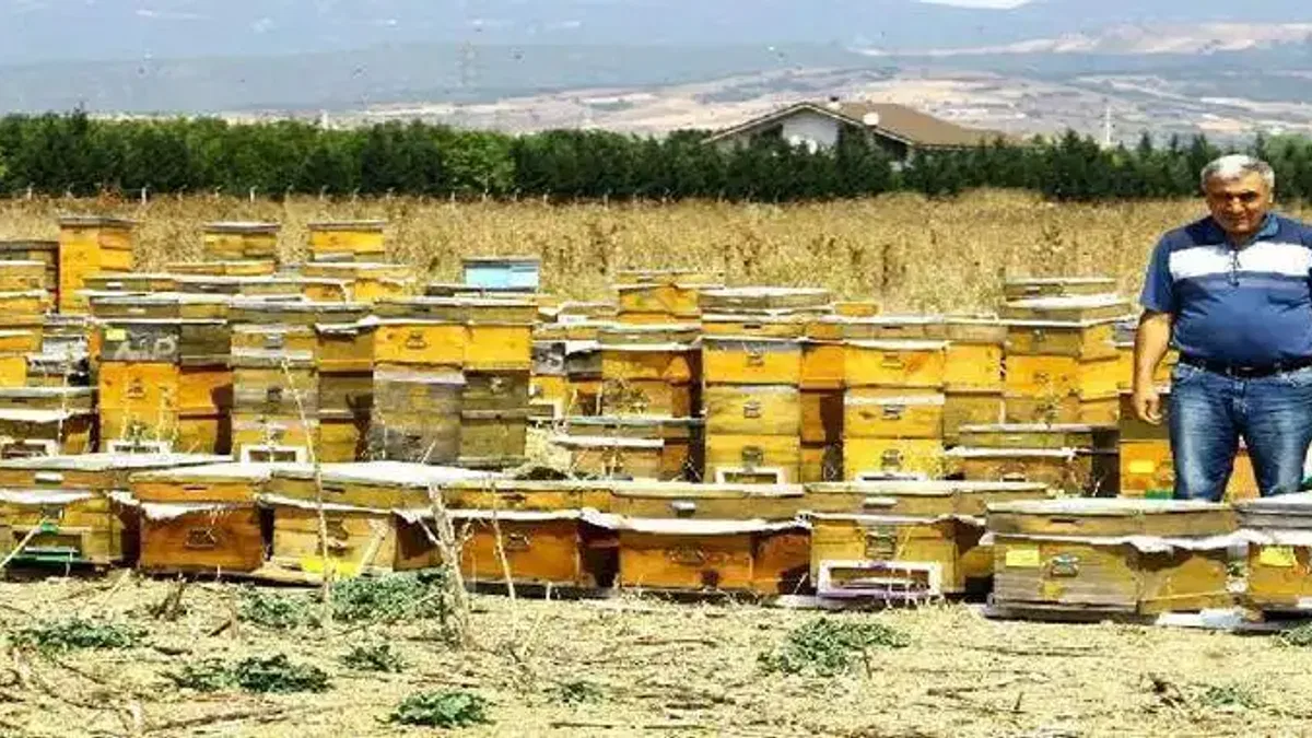 Bursa Yenişehirli arıcılara 85 bin lira devlet desteği