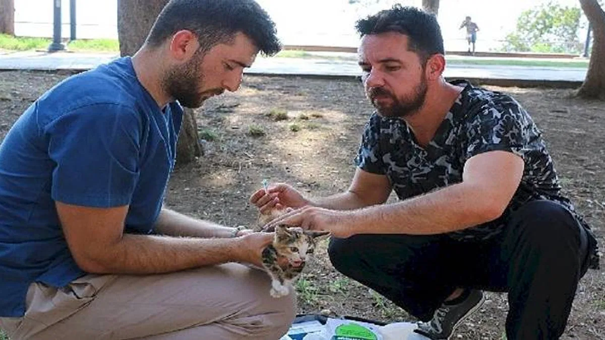 Antalya Büyükşehir can dostlarımızı hastalıklara karşı koruyor