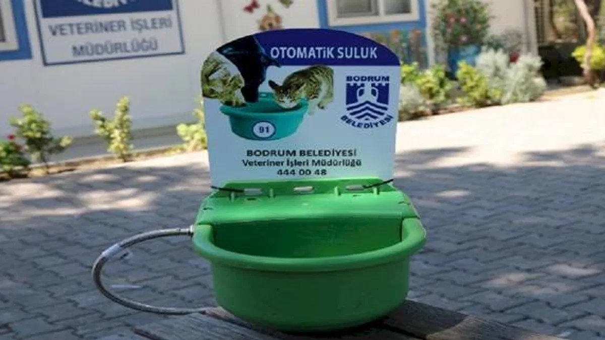 Bodrum'da sokak hayvanları için otomatik suluk