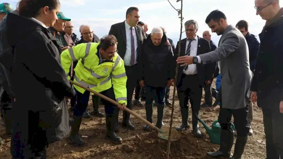 Bursa Karacabey'de şehit Aybüke öğretmen anısına hatıra ormanı