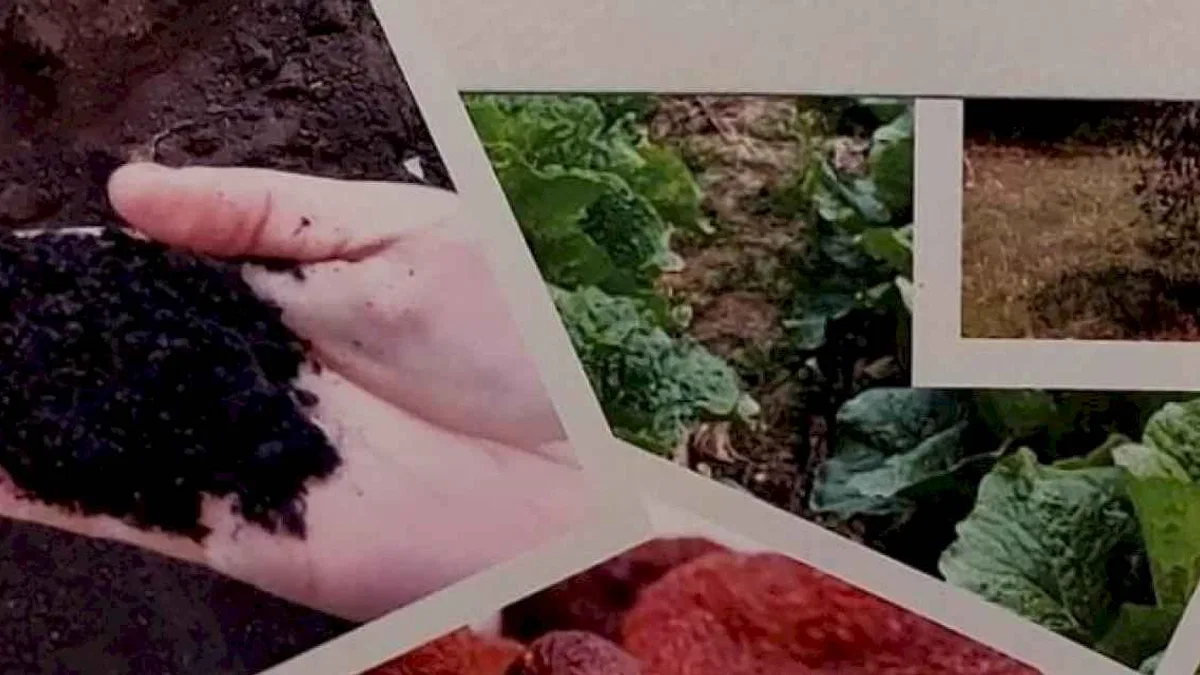 Dünyanın gıda ambarı organik tarımın kitabını yazdı