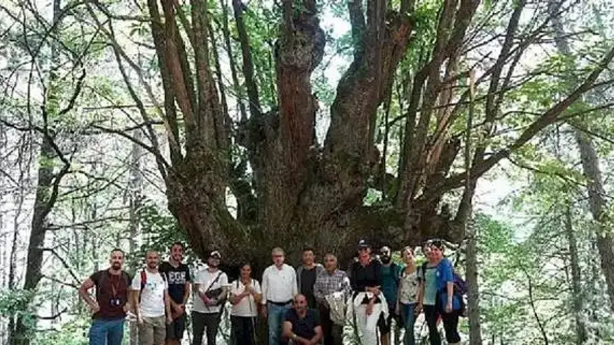 Efeler Yolu Projesine Uluslararası Ödül