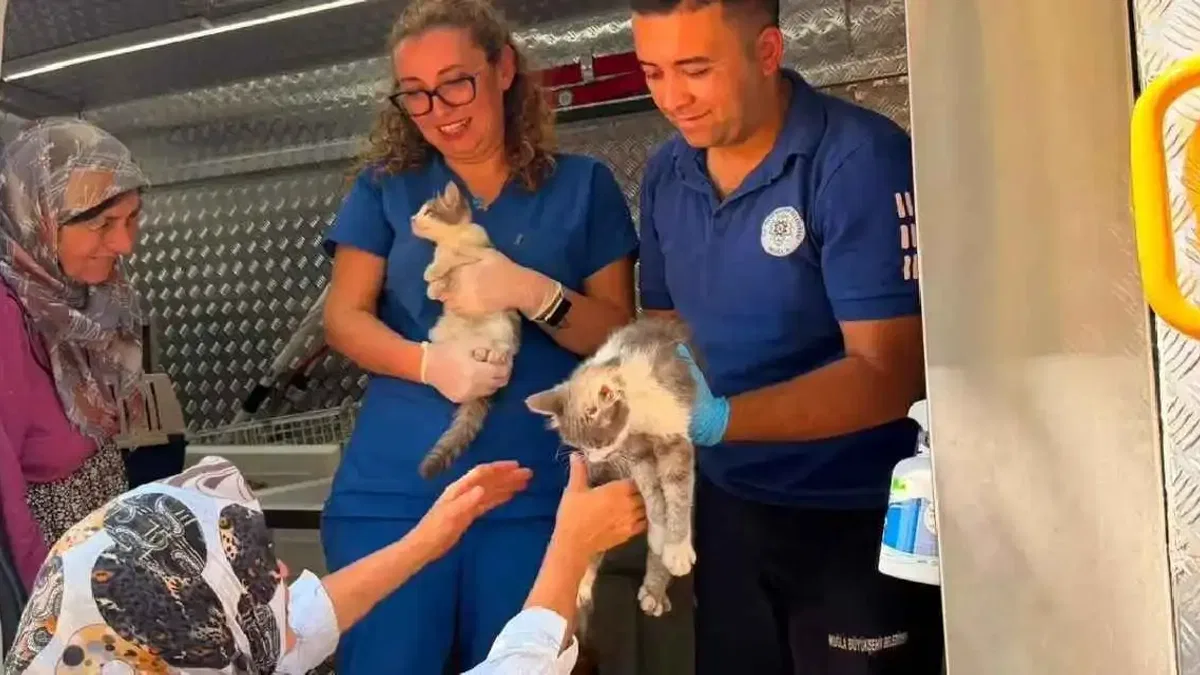 Muğla’da Yaraş yangınında can dostlara acil müdahale
